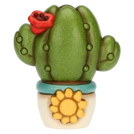 Medium jar cactus with poppy