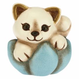 Gattino nascita su fiore azzurro mini