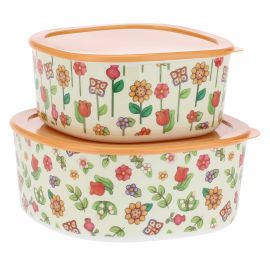 Set of 2 Country kitchen jars