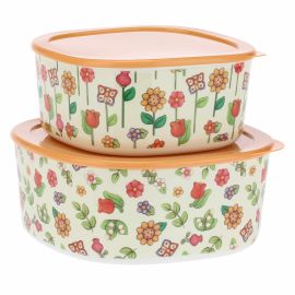 Set 2 contenitori cucina Country