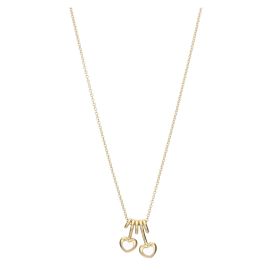 Necklace with two hearts