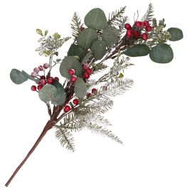 Eucalyptus and Red berries