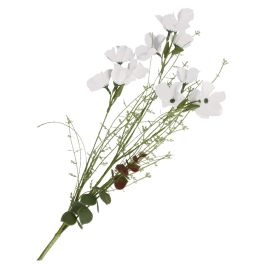 White Peruvian lily