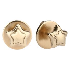 Pin earrings with star