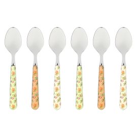 Set of 6 Country decorated spoons